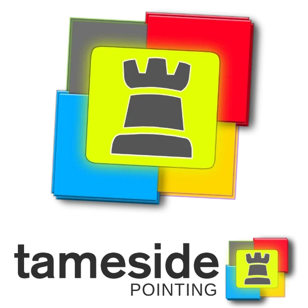 Tameside Pointing Medium Banner Logo