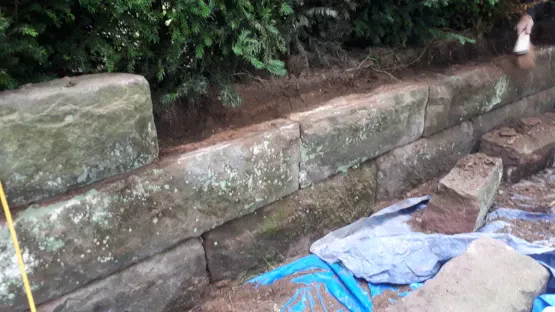 Alderley Edge Stone Wall Repair Prep: Lifting Loose Stones